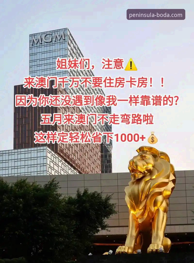 半岛体育直播软件深度分析：从版本更新到实战体验的全面解析